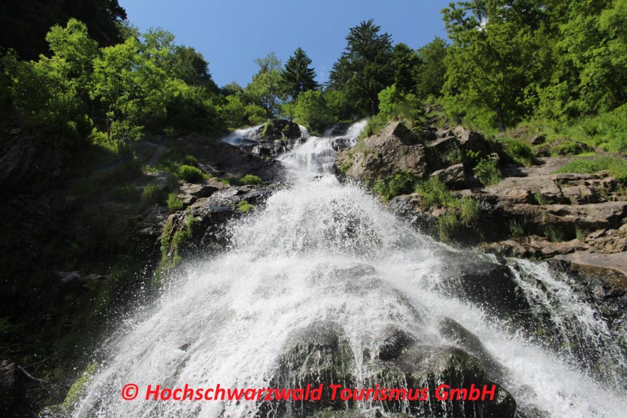 דירות Schönwalde Schwarzwaldblick מראה חיצוני תמונה