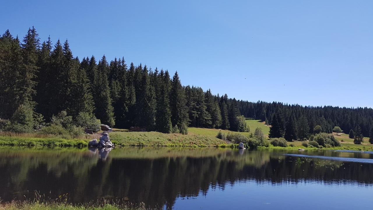 דירות Schönwalde Schwarzwaldblick מראה חיצוני תמונה